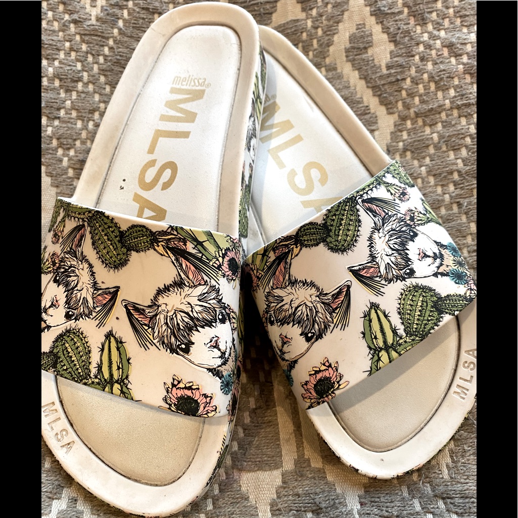 Fun Slides!